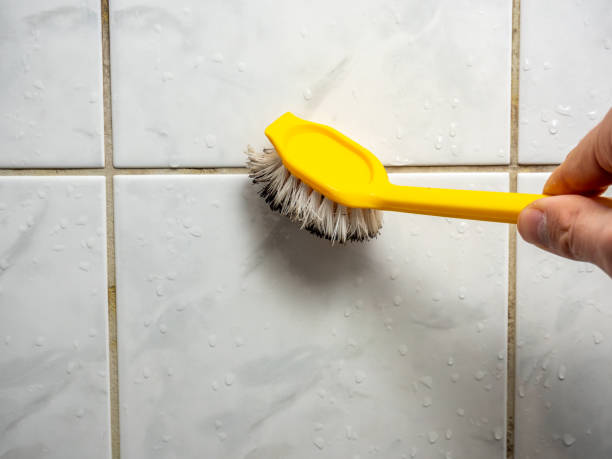 Best Mold Remediation  in Lone Pine, CA